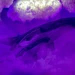 Whales in Dreams: Meaning and Symbolism