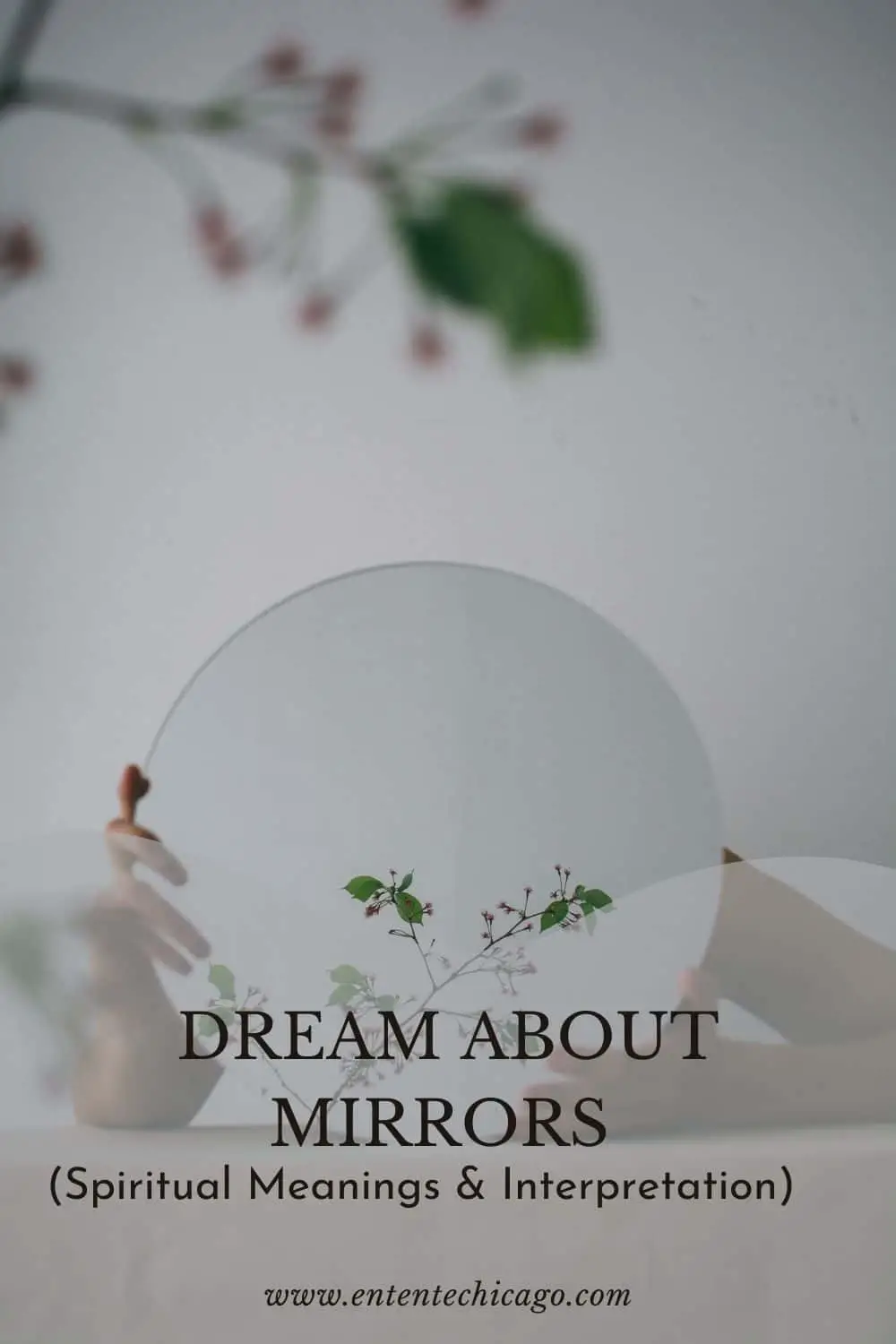 1 Dream Of Mirrors Meaning