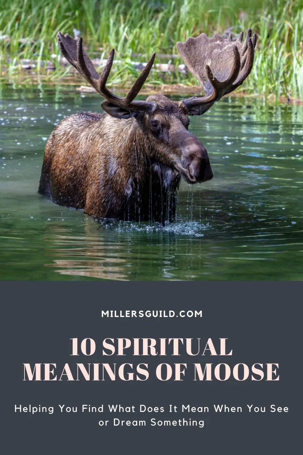 1 Moose As A Symbol Of Fertility