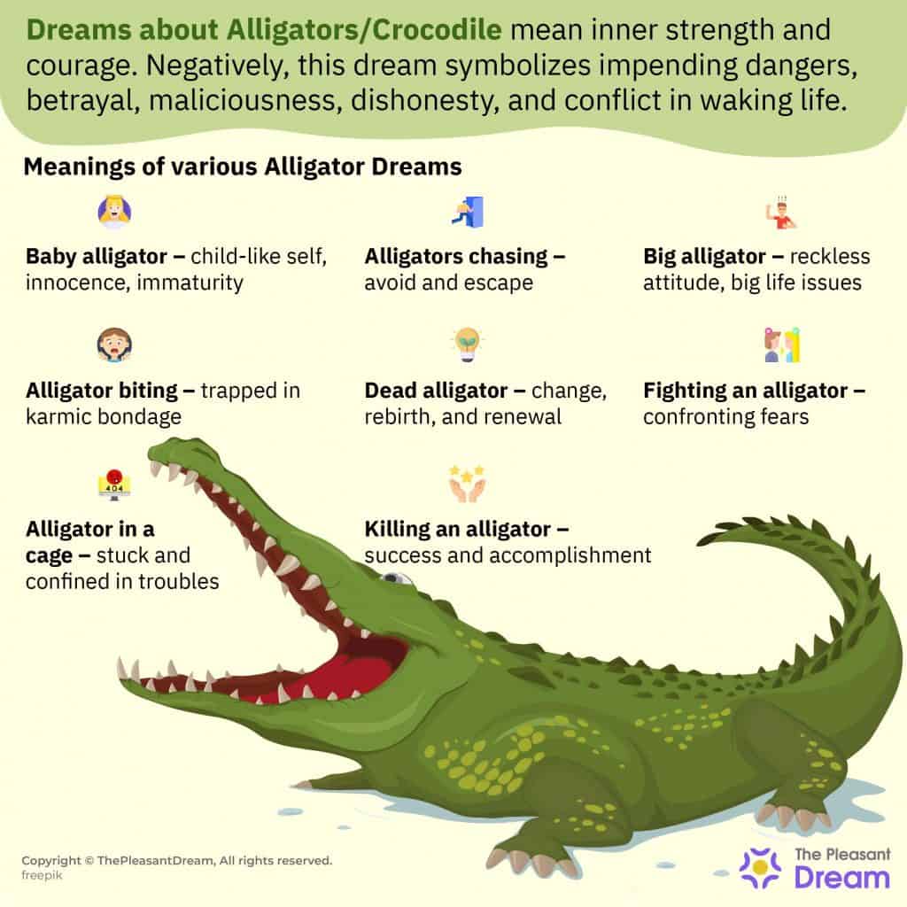 Alligators As Symbols