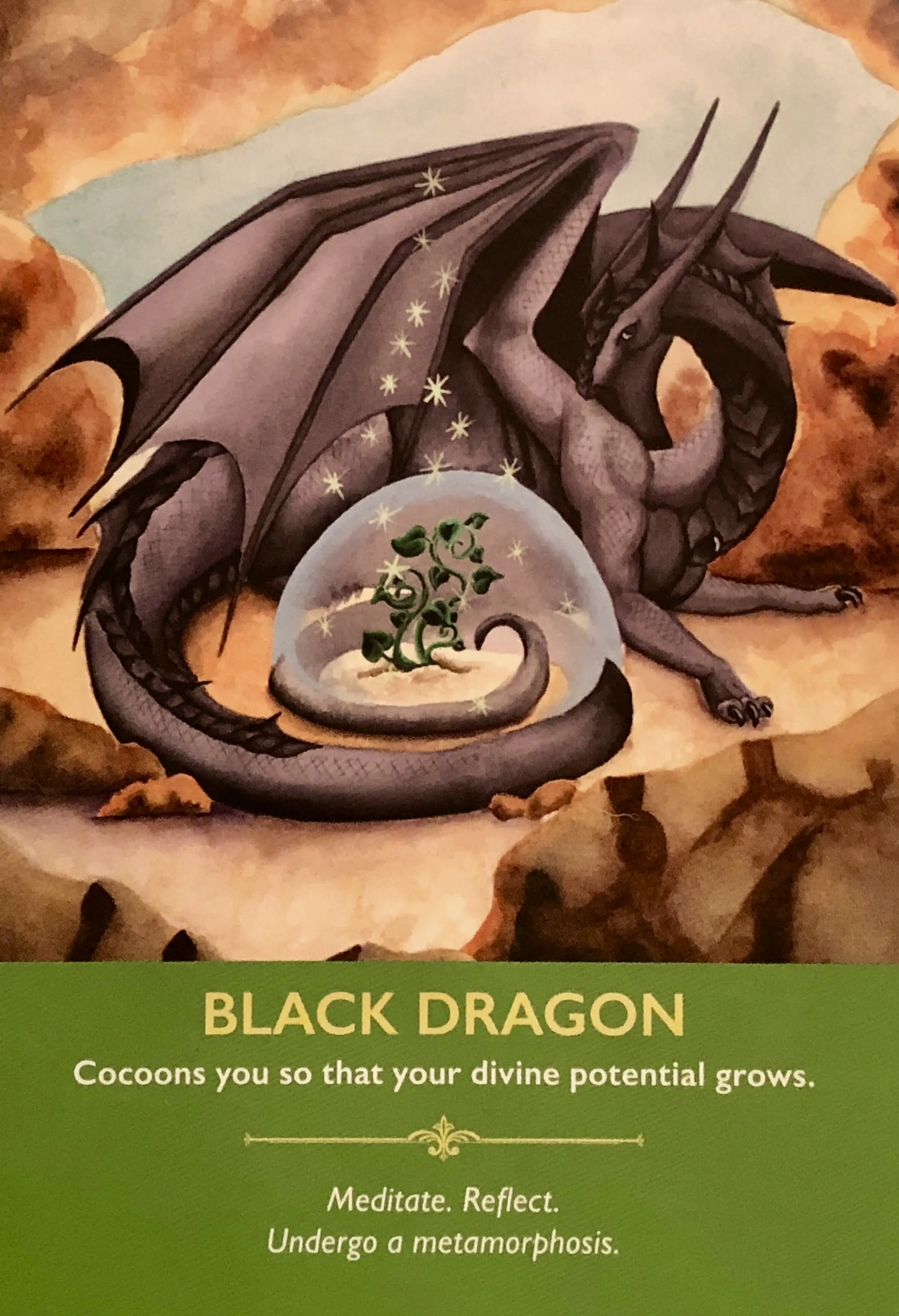 Black Dragon Dreams