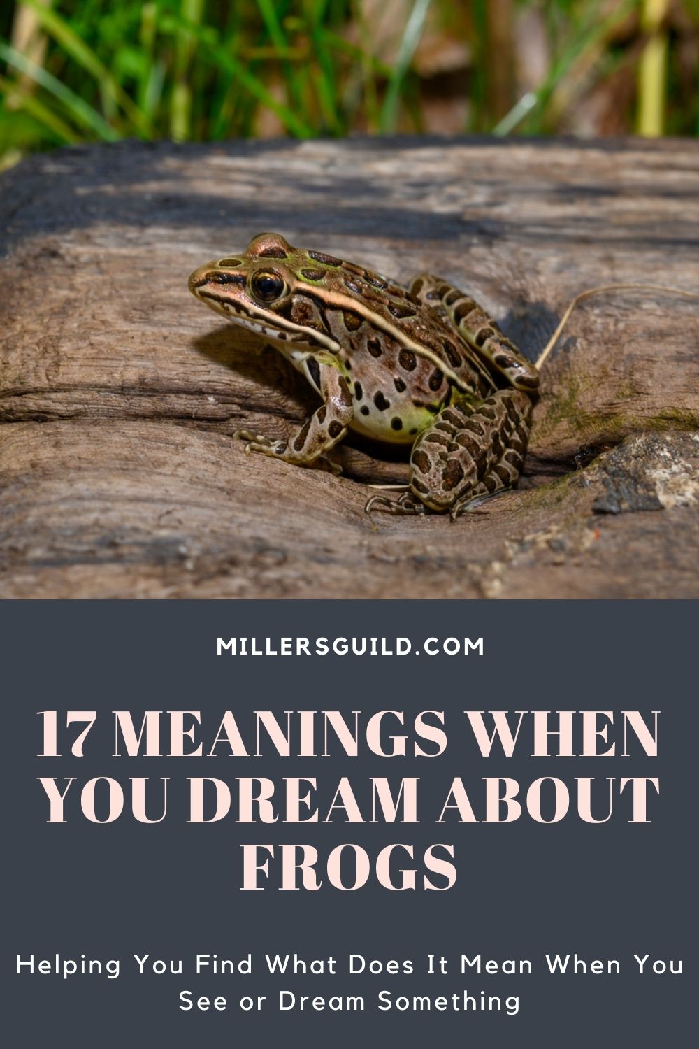 Brown Frog Dream Meaning