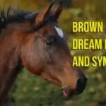 Unlock the Spiritual Meaning behind Brown Horse Dreams in the Bible