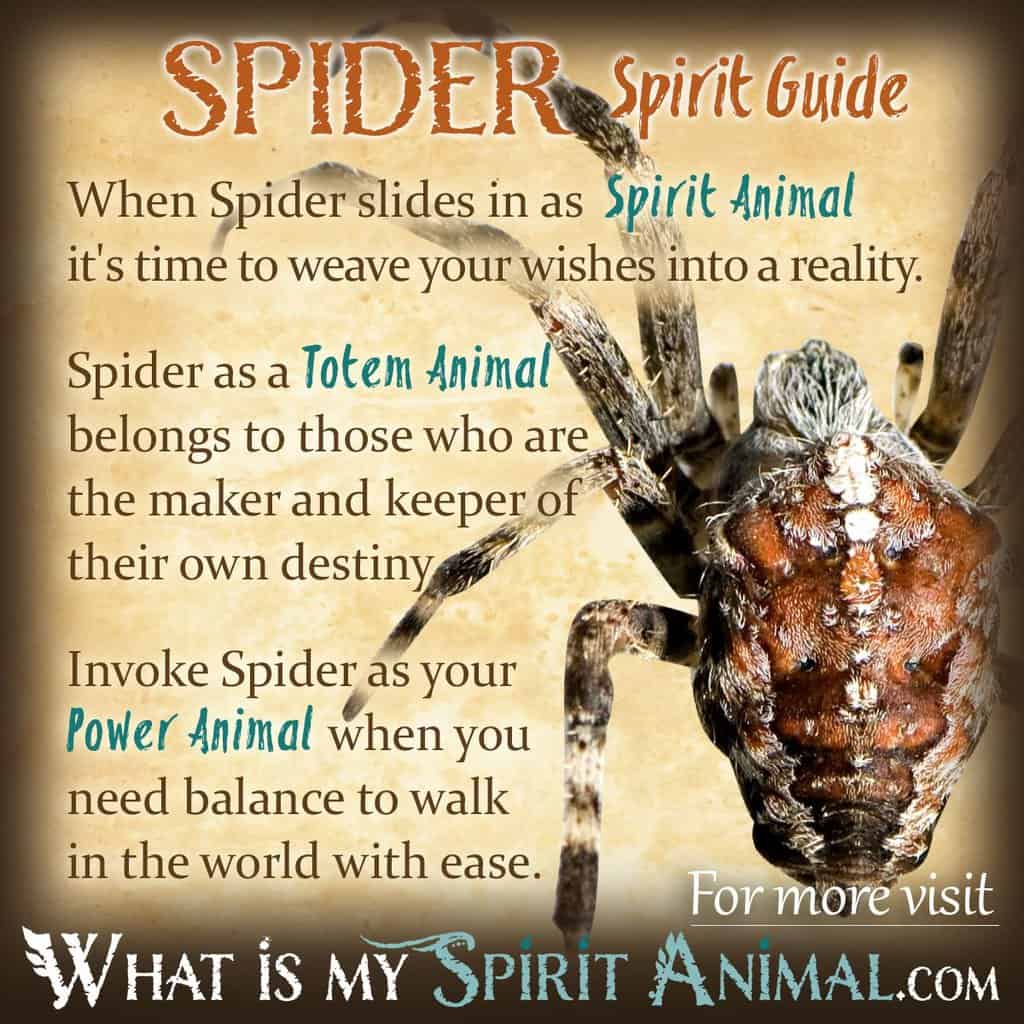 Brown Spider Dream Meaning