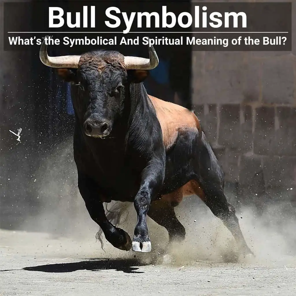 Bull Representing Strength And Power