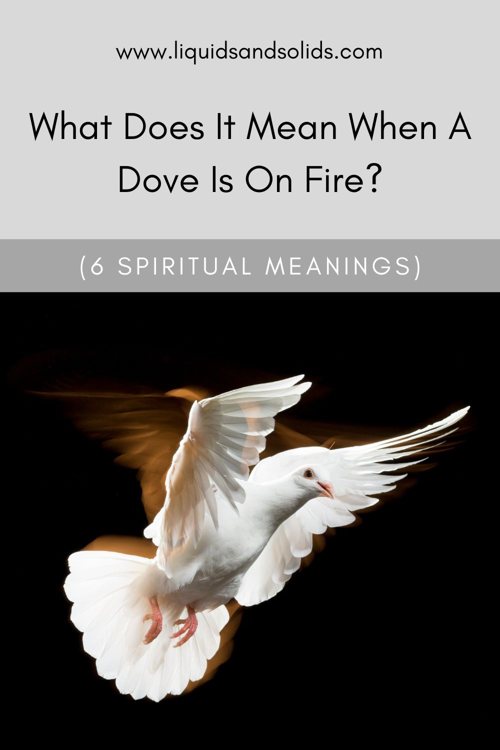 Burning Dove Meaning In Modern Times