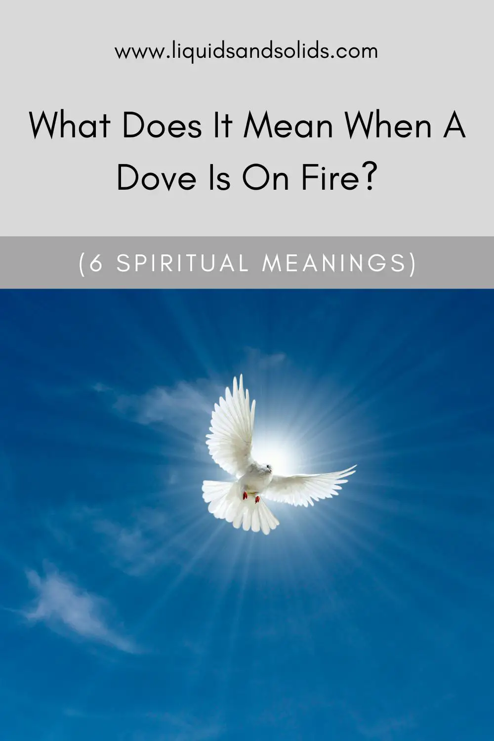 Burning Dove Meaning In Spiritual Context