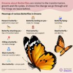 Unlock the Spiritual Meaning of Your Butterfly Dreams