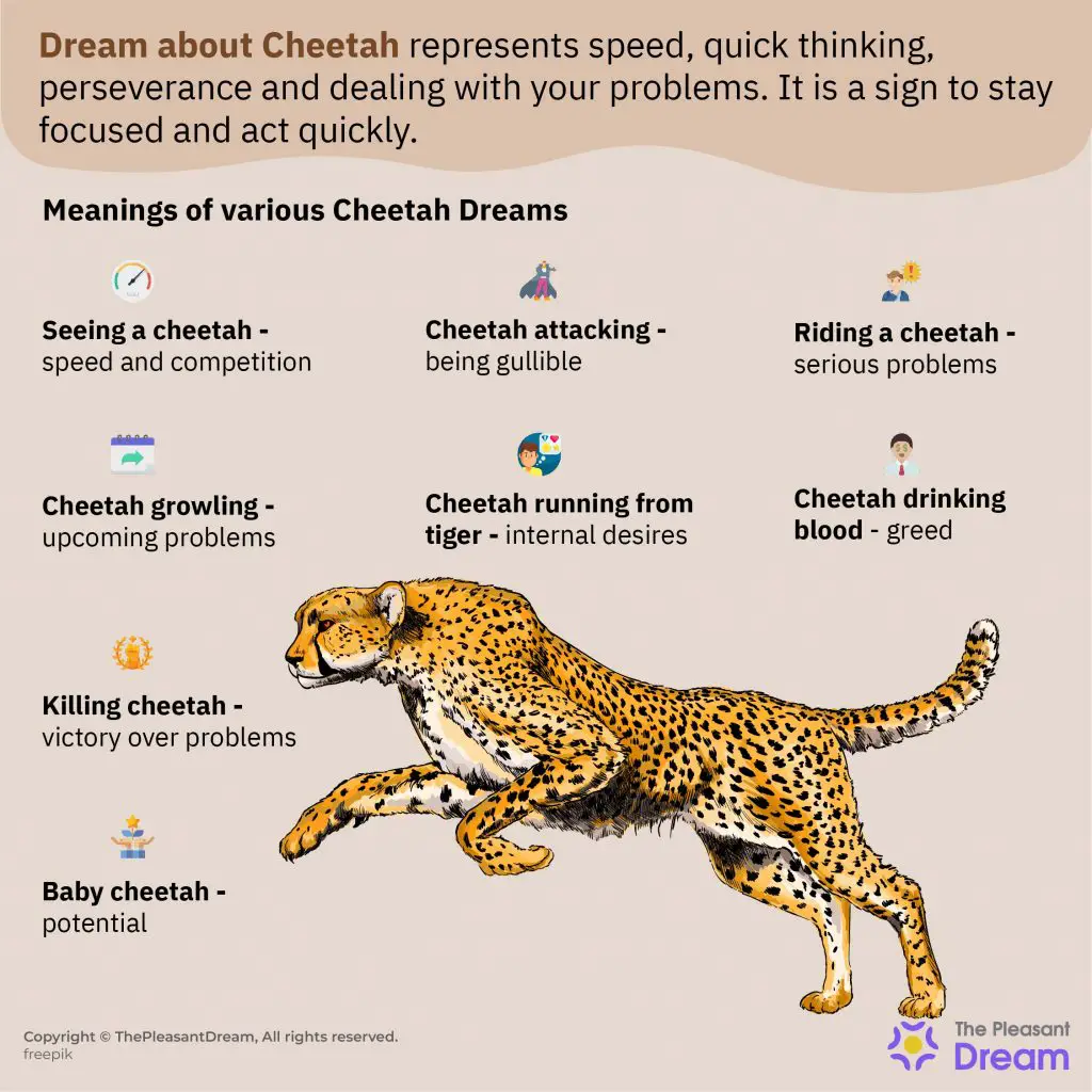 Cheetah In Dreams