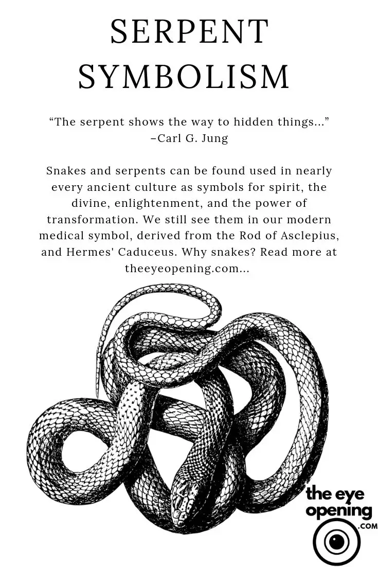 Cobra As A Symbol Of Spiritual Transformation