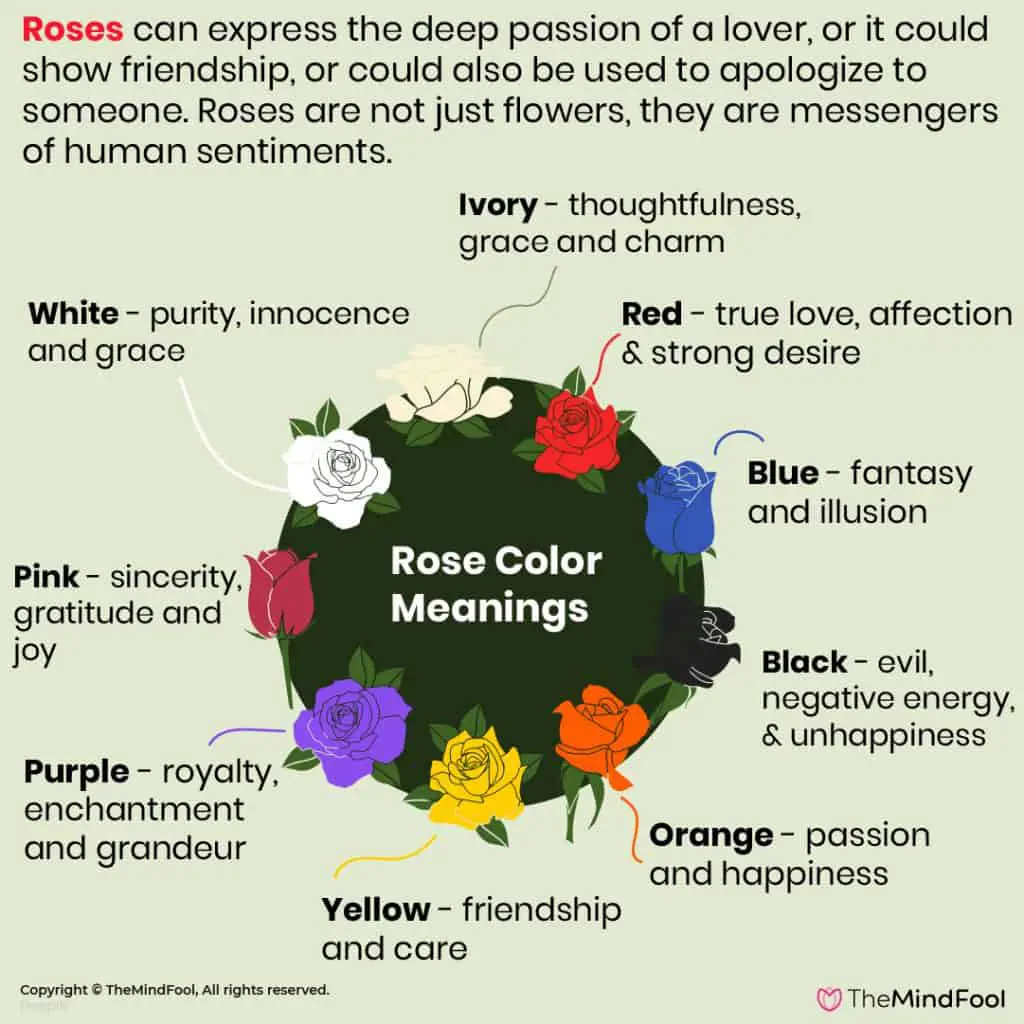 Color Symbolism Of The Blue Rose