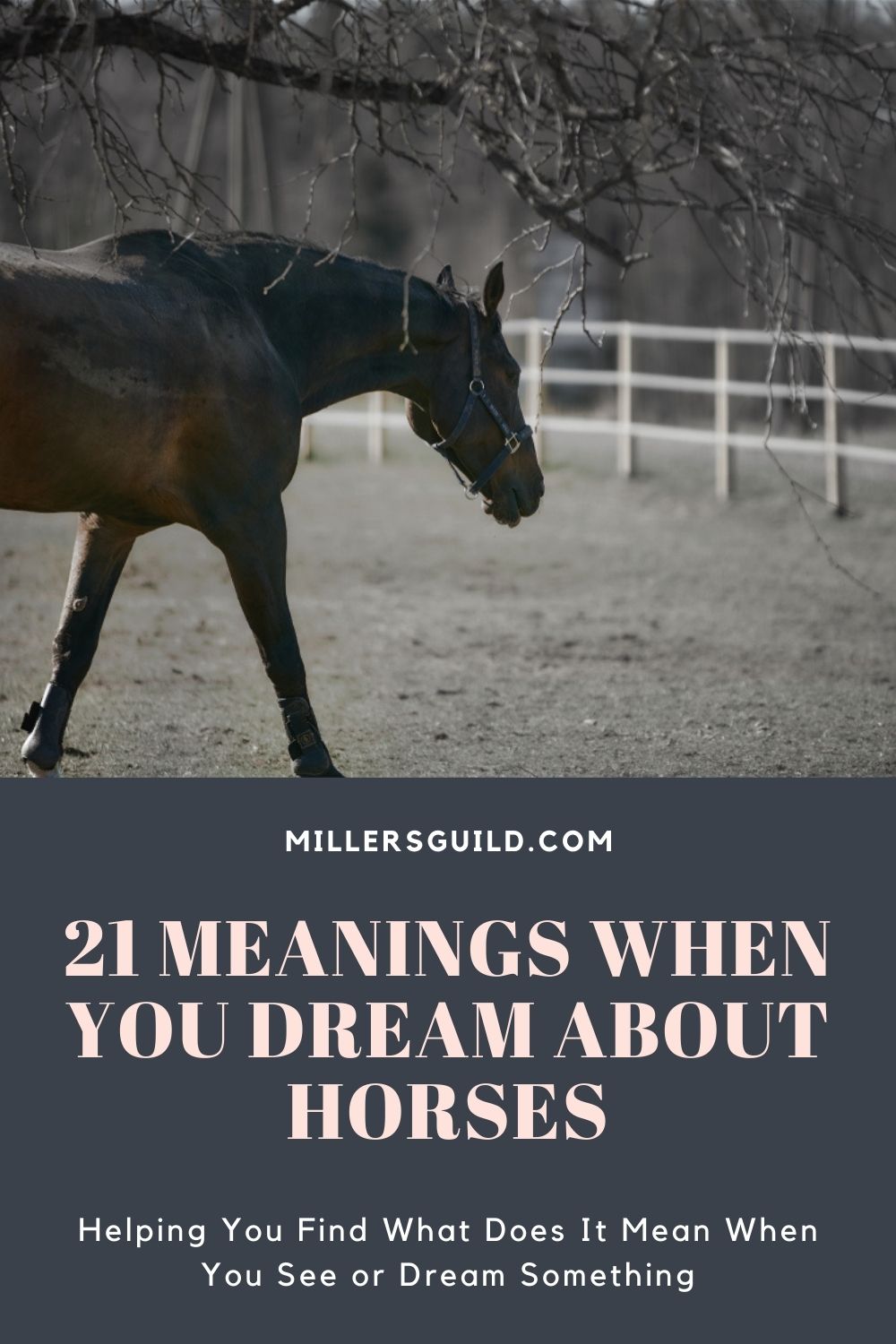 Common Interpretations Of Dreams Involving Horses