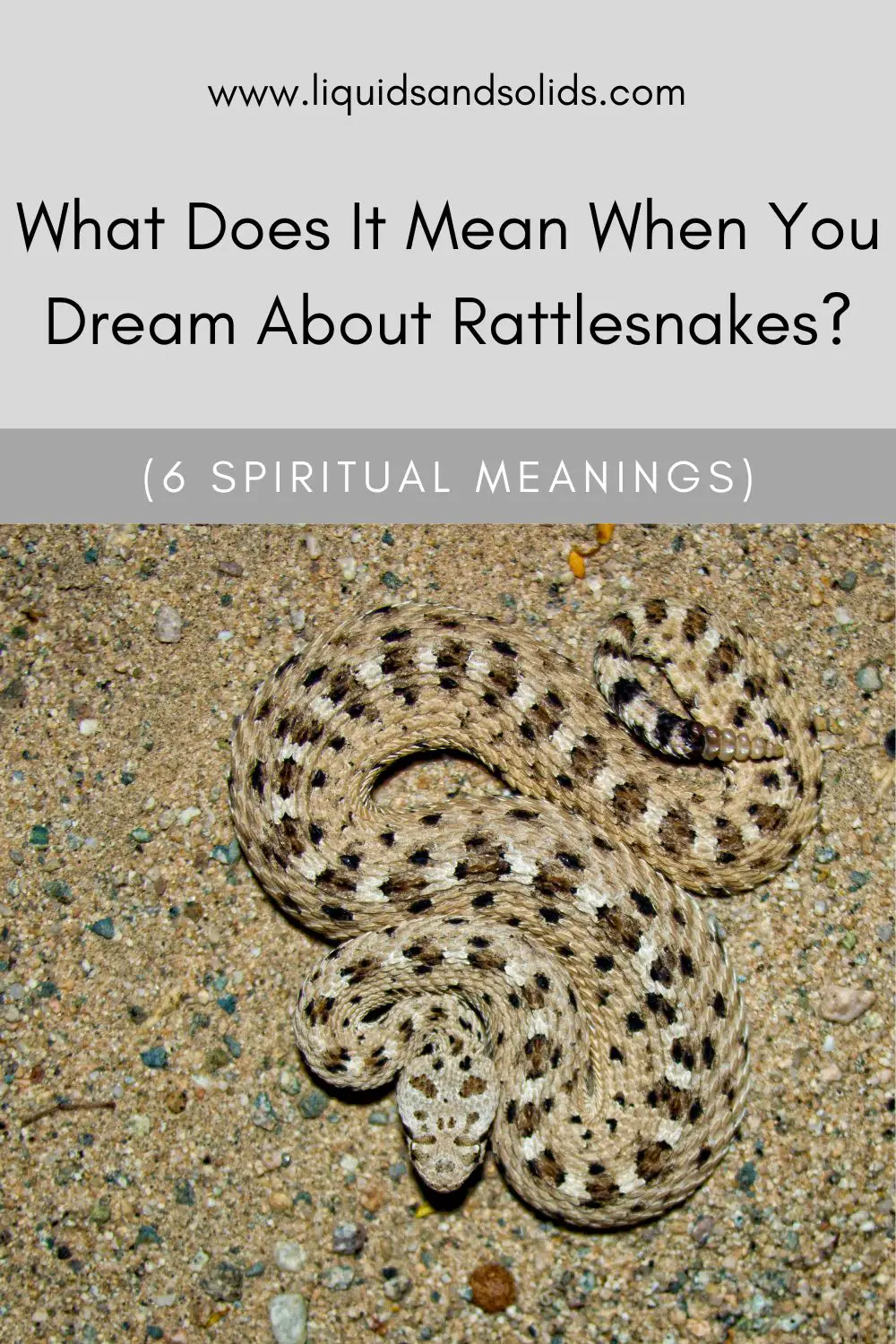 Common Meanings Of Rattlesnake Dreams