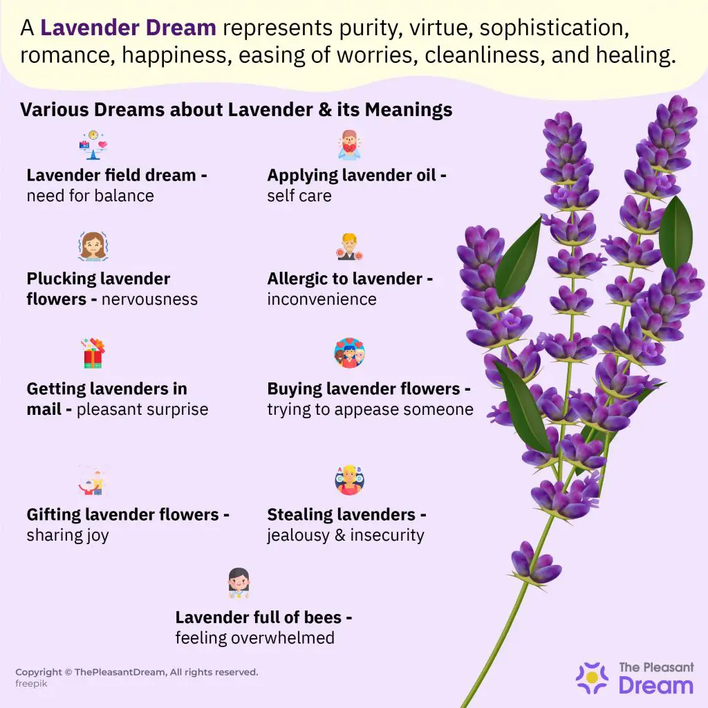 Common Symbolic Meanings Of Purple Flowers In Dreams