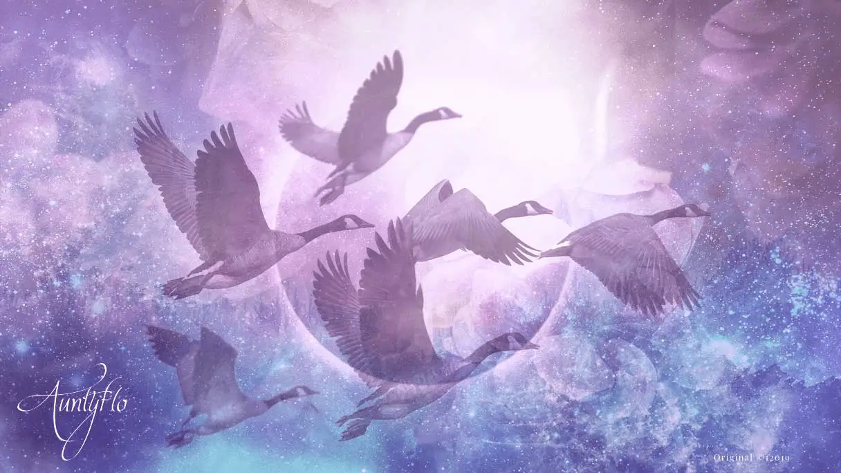 Discover the Spiritual Meaning Behind the Dream of Flying Without Wings