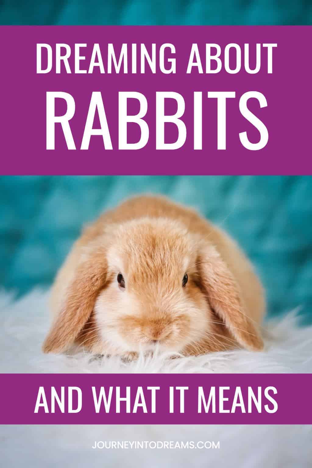 Common Themes In Rabbit Dreams