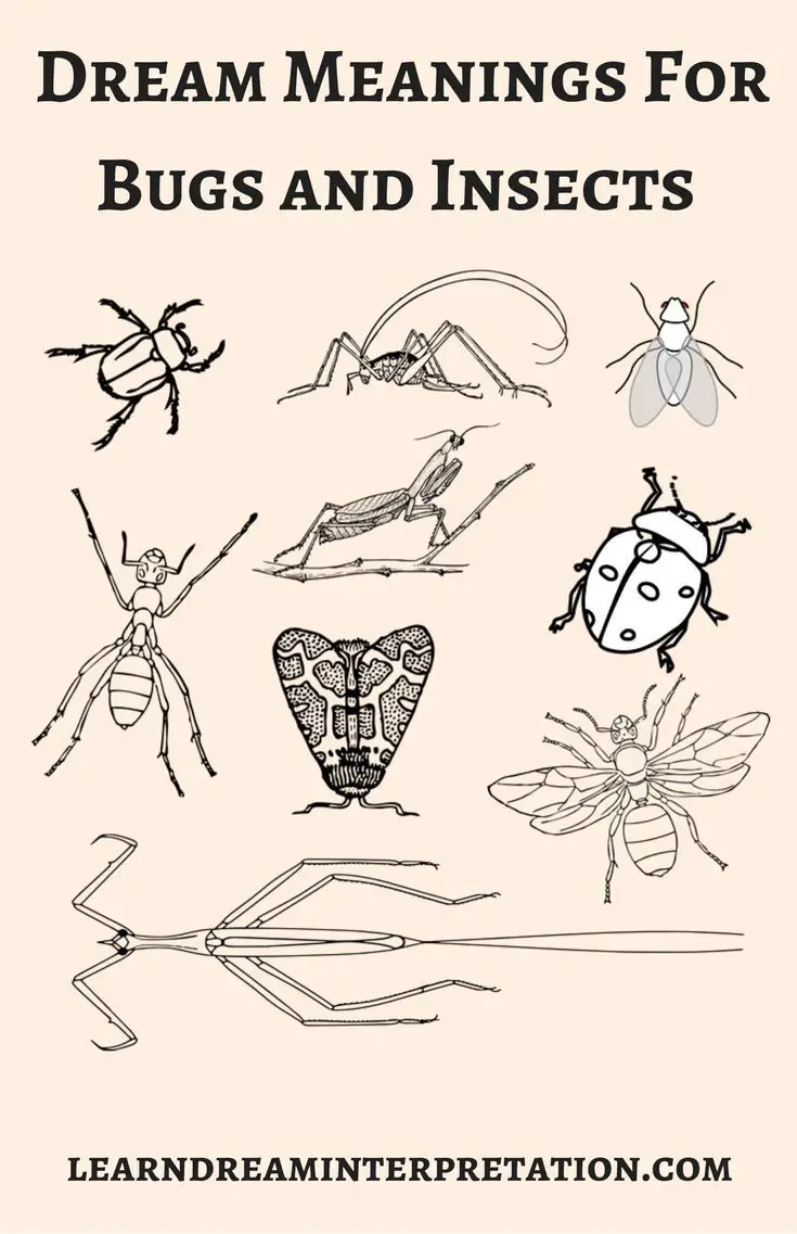 Common Themes Of Insect Dreams