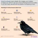 Discover the Spiritual Meaning of Crow Dreams and Unlock Your Inner Power