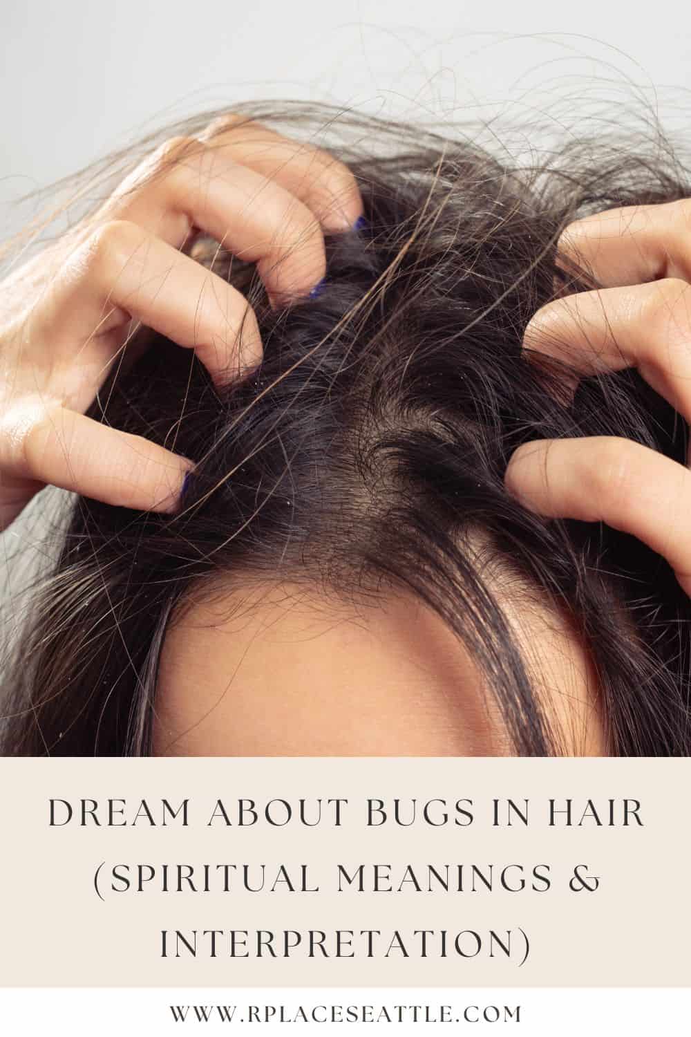Cultural Interpretations Of Dreams Of Bugs In Hair