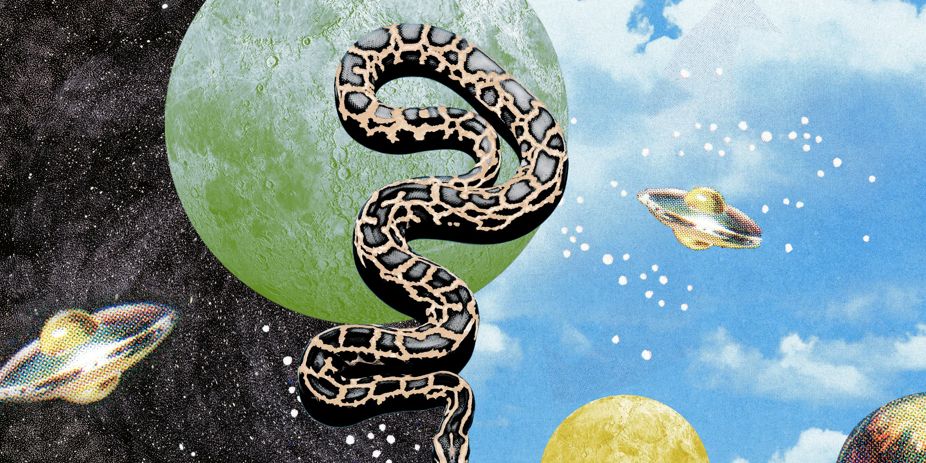 Cultural Meaning Of Snakes In Dreams