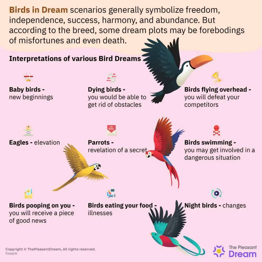 Different Color Combinations Of Black Birds
