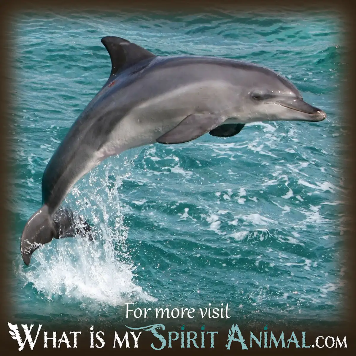 Dolphins And Psychic Abilities