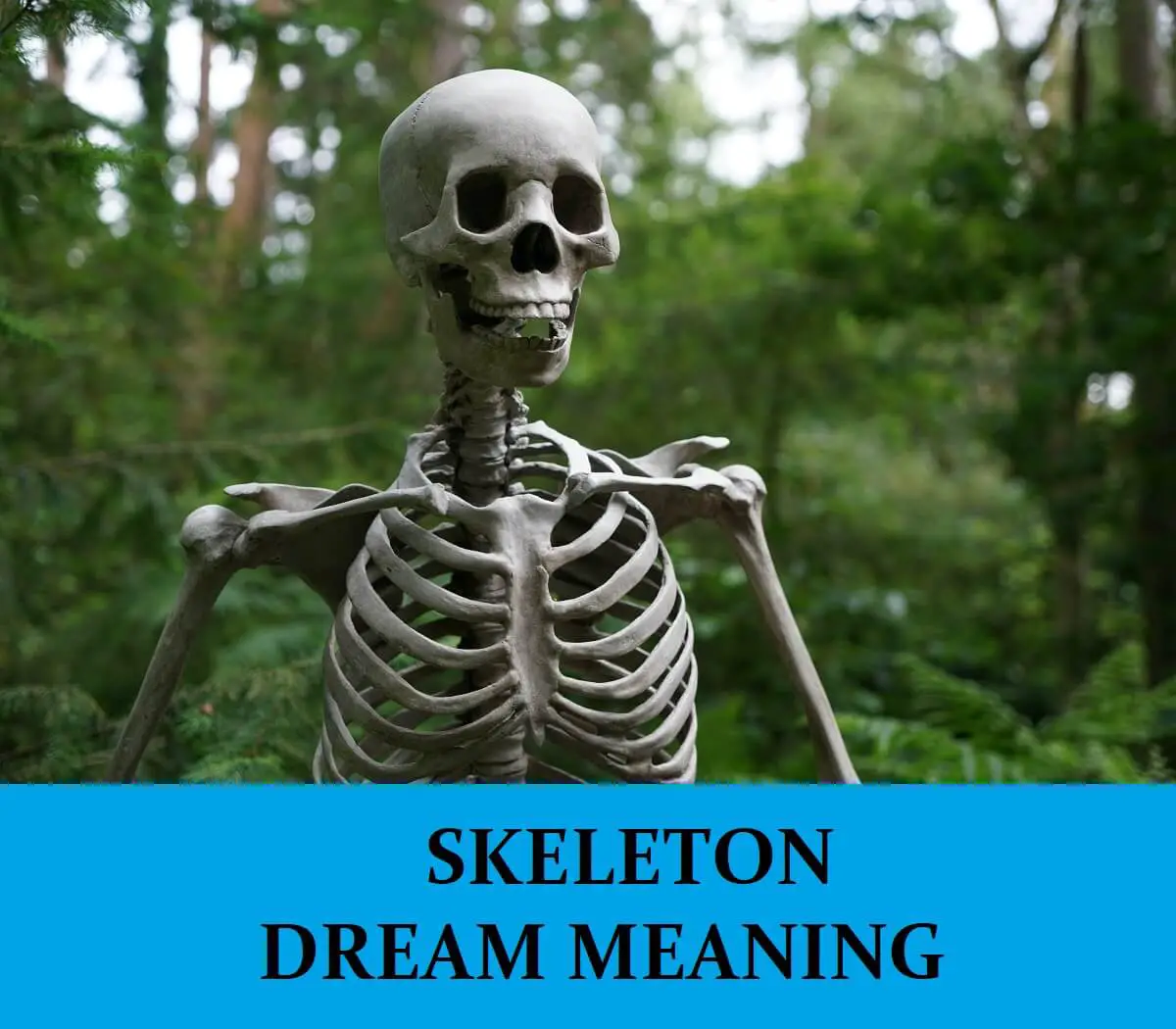 Dream Interpretations Of Skeleton