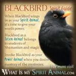 Dream of Black Bird: Uncovering the Spiritual Meaning Behind Your Dreams