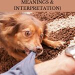 Discover the Spiritual Meaning of Your Dream of Dog Biting You