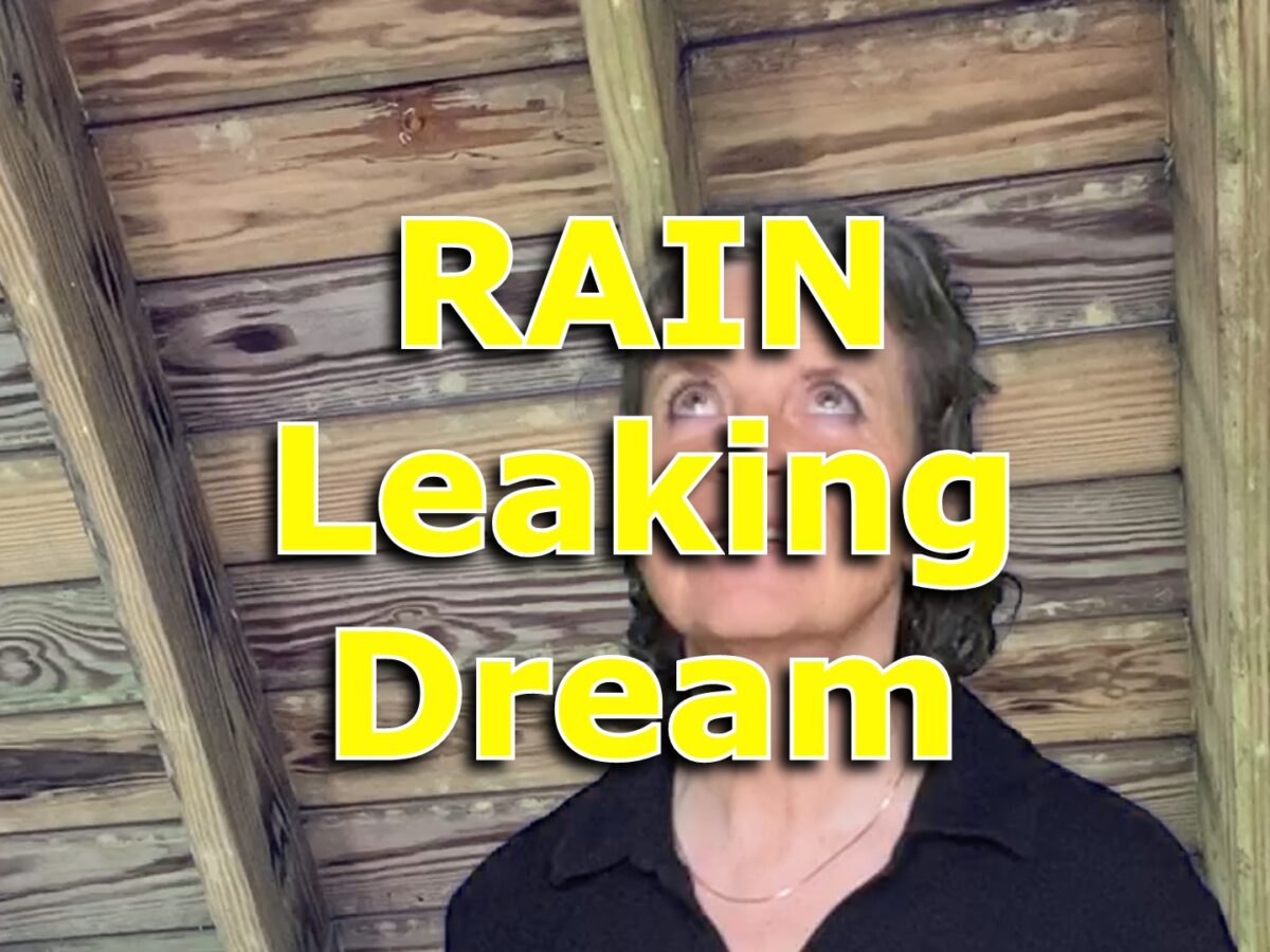 Dream of a Roof Leaking (8 Reasons + Interpretation) - Practical