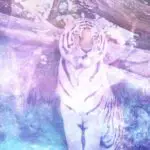 Unlock the Spiritual Meaning Behind Your Dream of Lions and Tigers