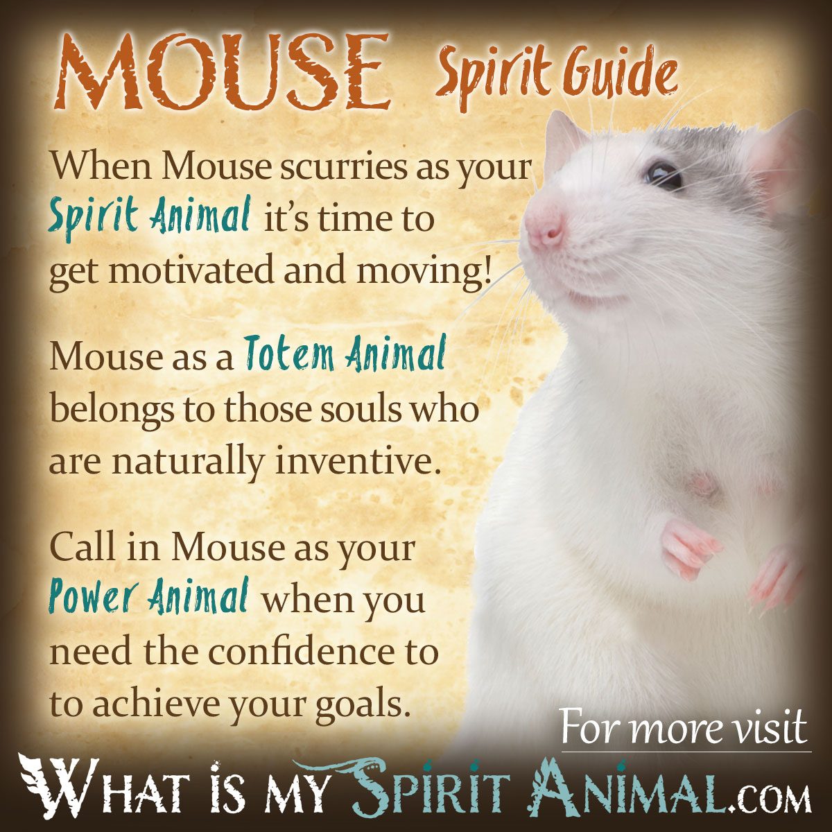 Dream Of Mouse Running