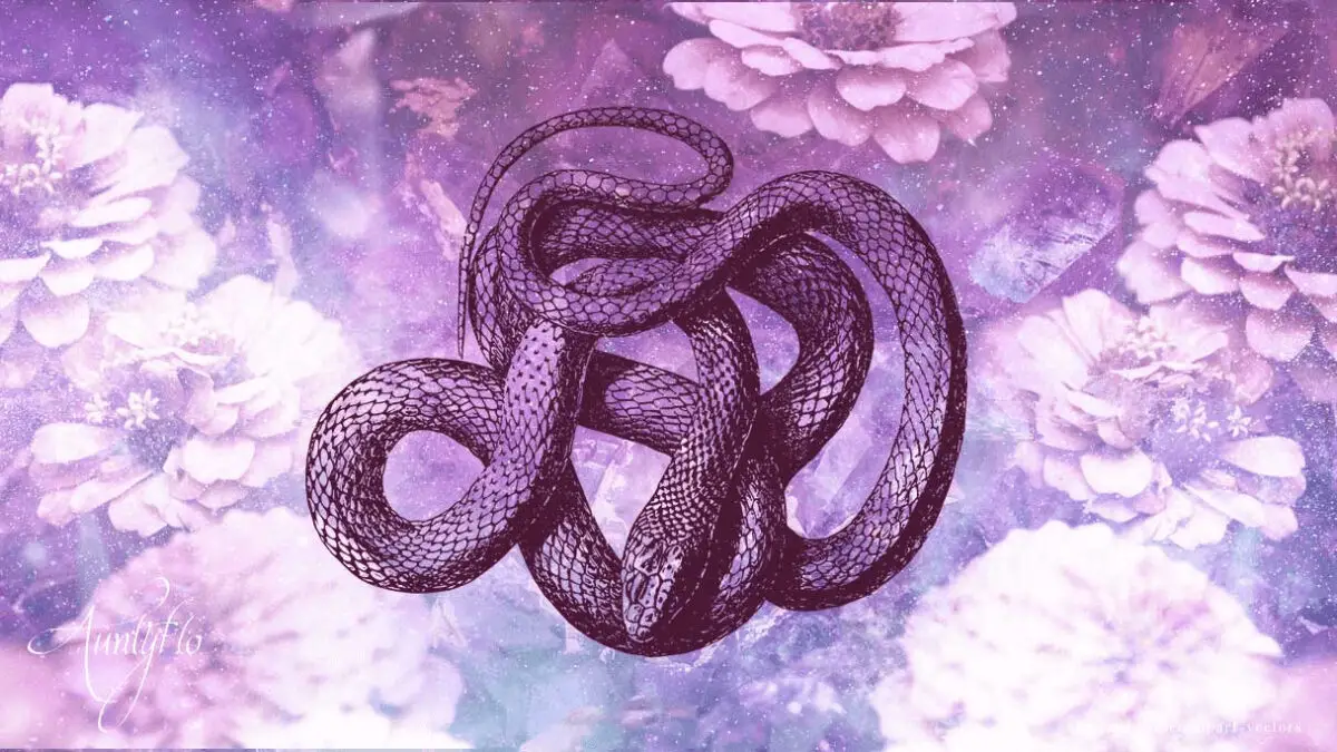 Purple Snake Wallpapers  Top Free Purple Snake Backgrounds   WallpaperAccess