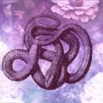 dream-of-purple-snake910