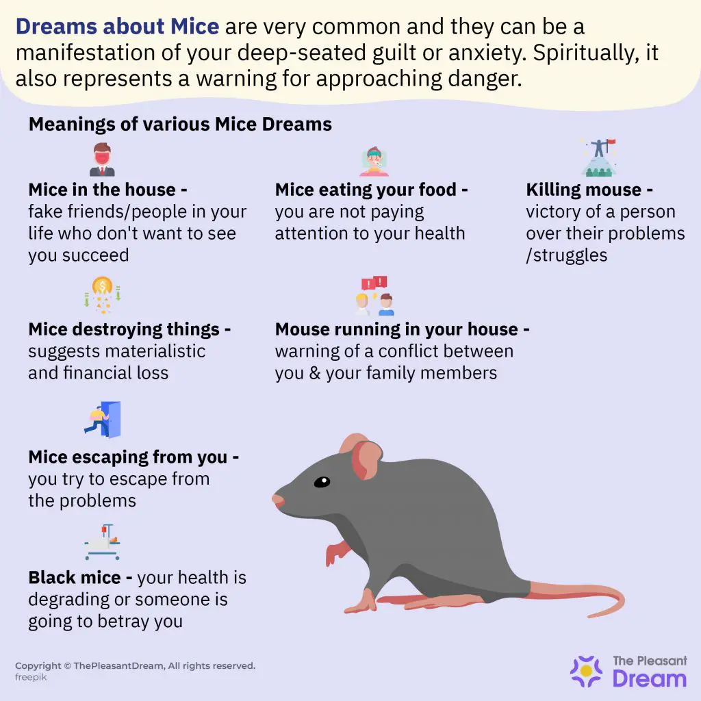 Dreaming Of Mice: What Does It Mean?