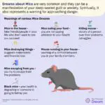 Dreaming of Mice: Uncovering the Spiritual Meaning Behind Your Dreams