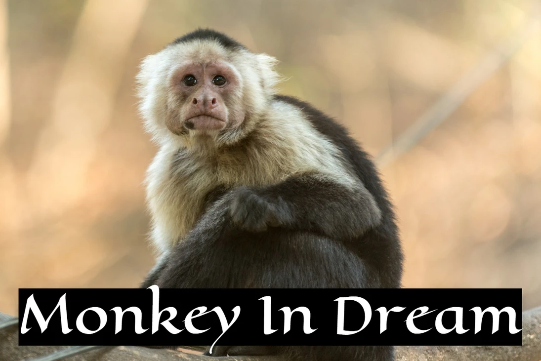Dreaming Of Monkeys In General