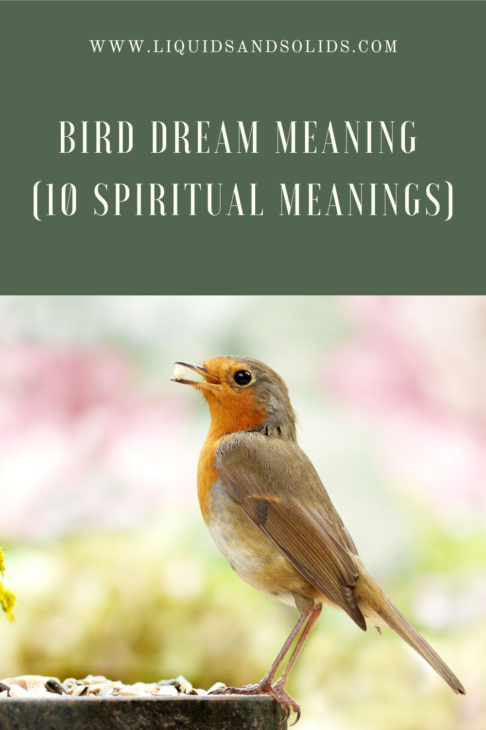Dreams Of Birds As A Symbol Of Hope