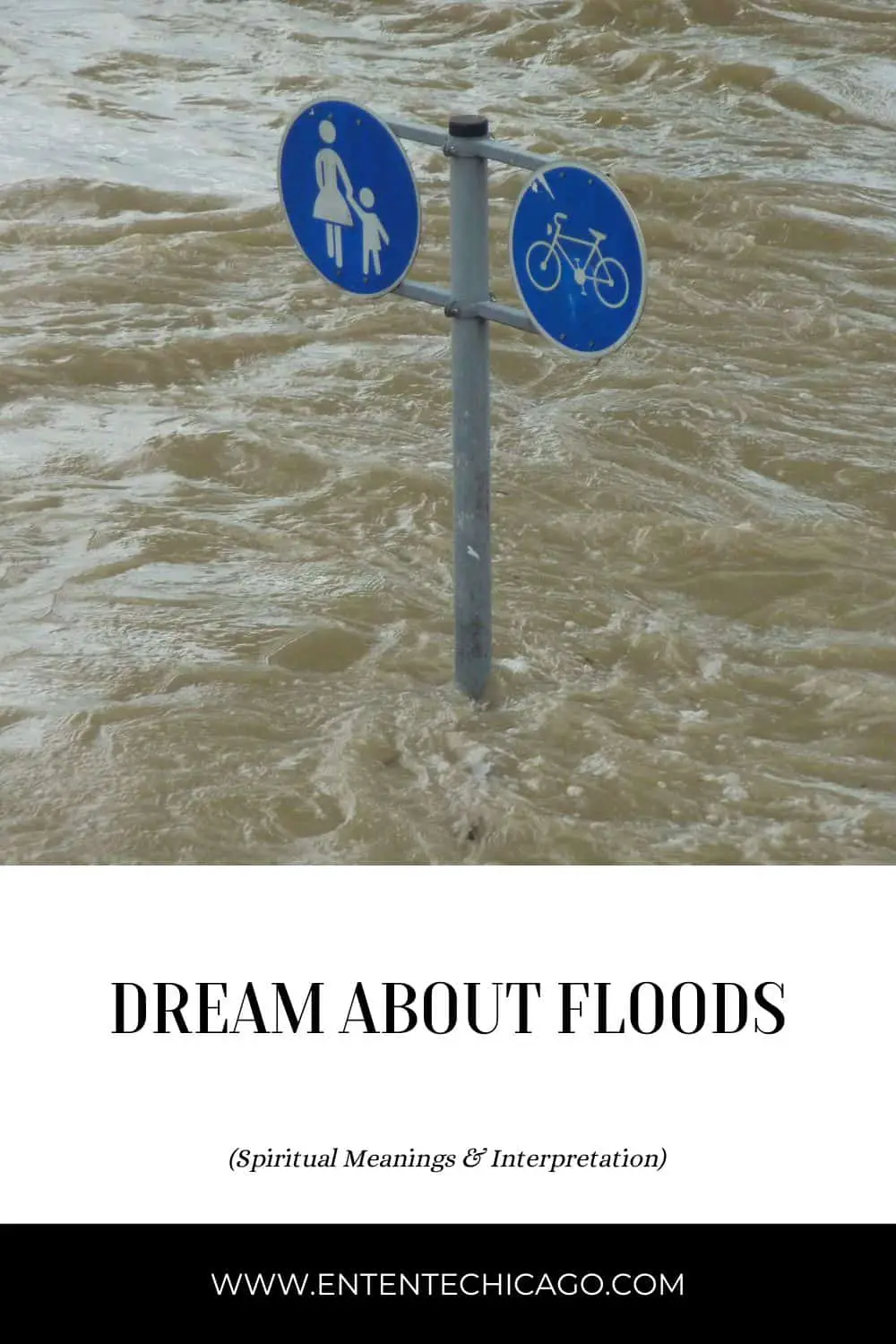 Flood Dream Interpretation