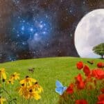 Unlock the Spiritual Meaning of Flowers in Dreams