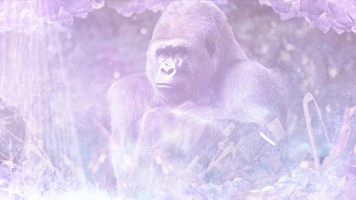 Gorilla Dreams And Your Life