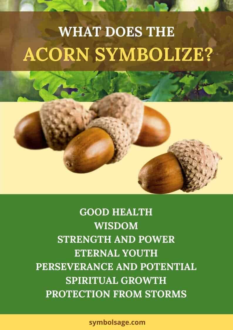 Historical Symbolism Of Acorns