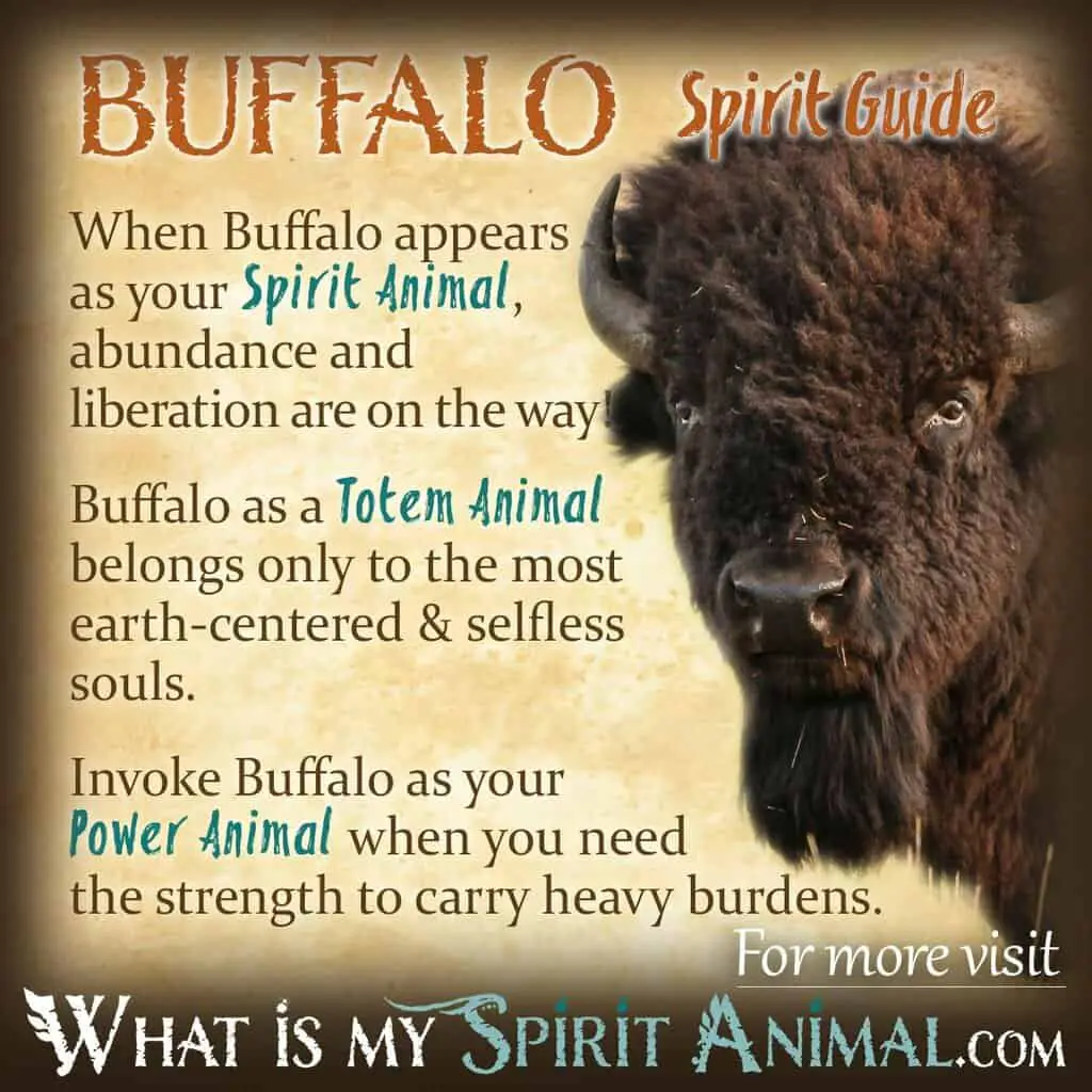 History And Mythology Of The Buffalo