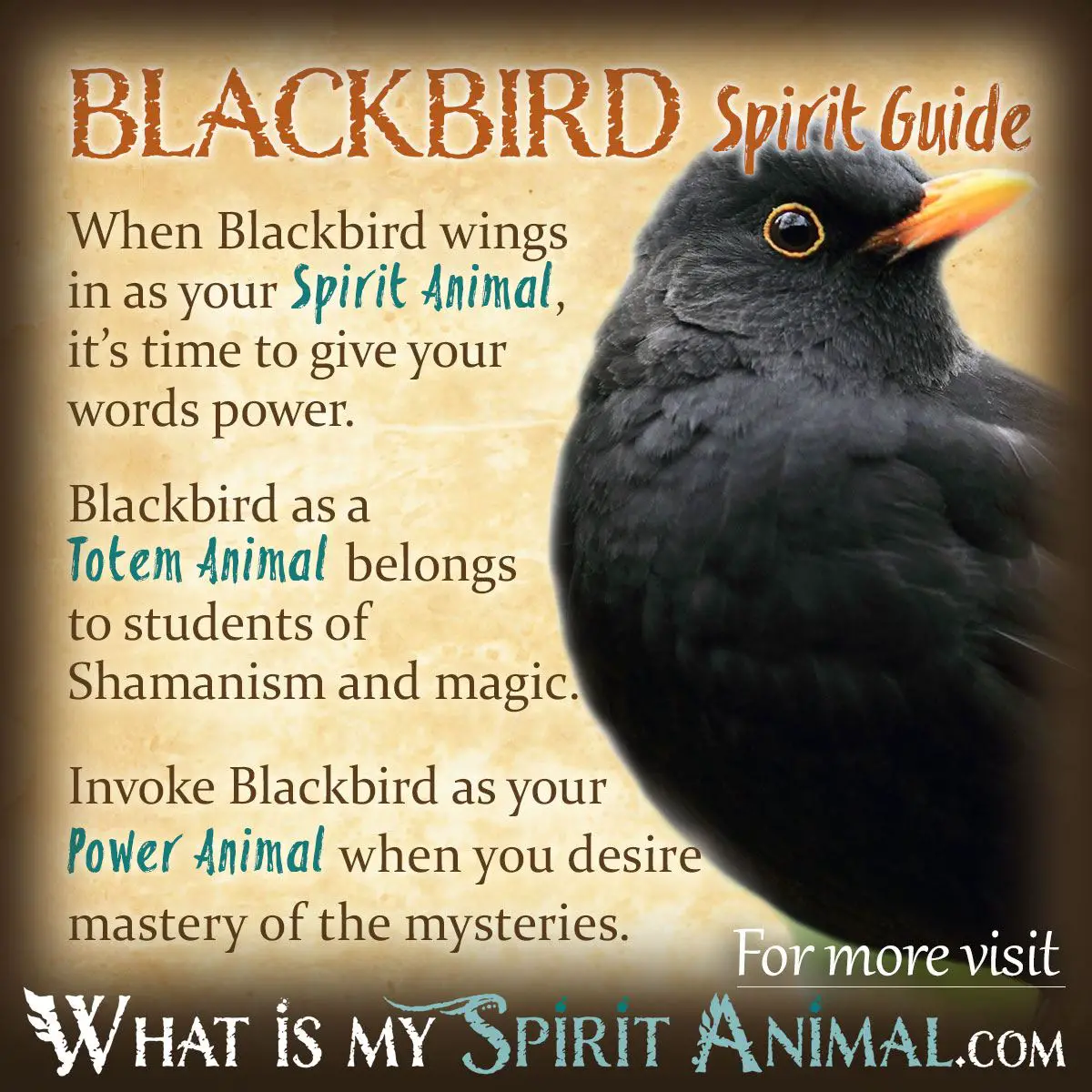 History Of Black Bird Dream Interpretation