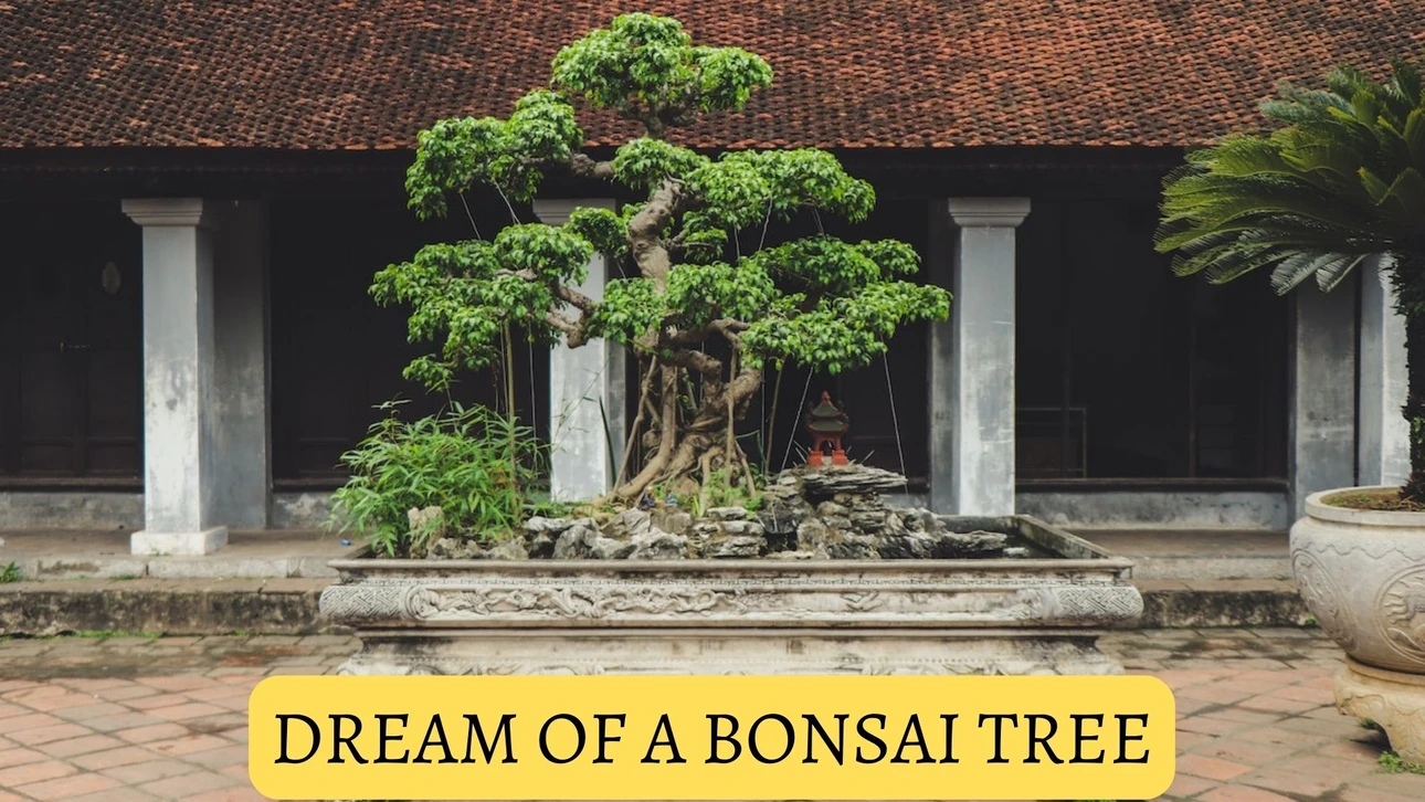 History Of Bonsai