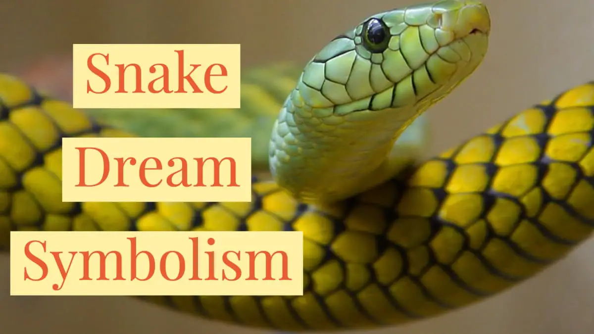 How To Interpret Dreams Involving A Purple Snake