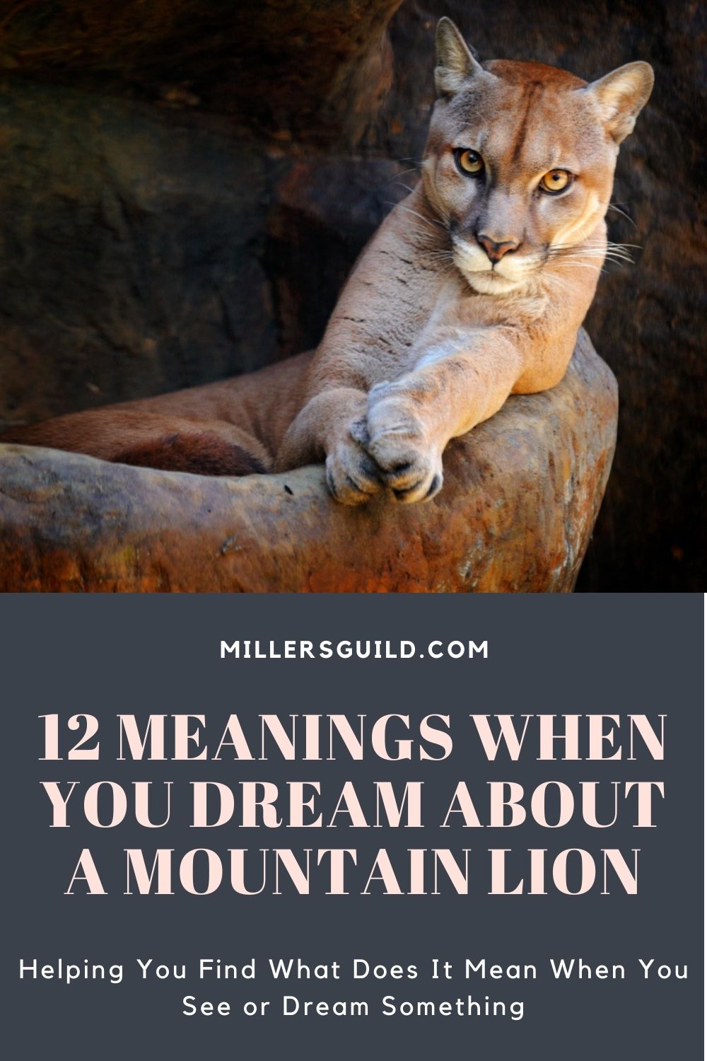How To Interpret Dreams Of Mountain Lions