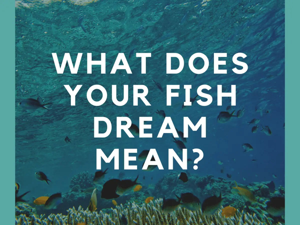 Implications Of Dreaming Of Flying Fish