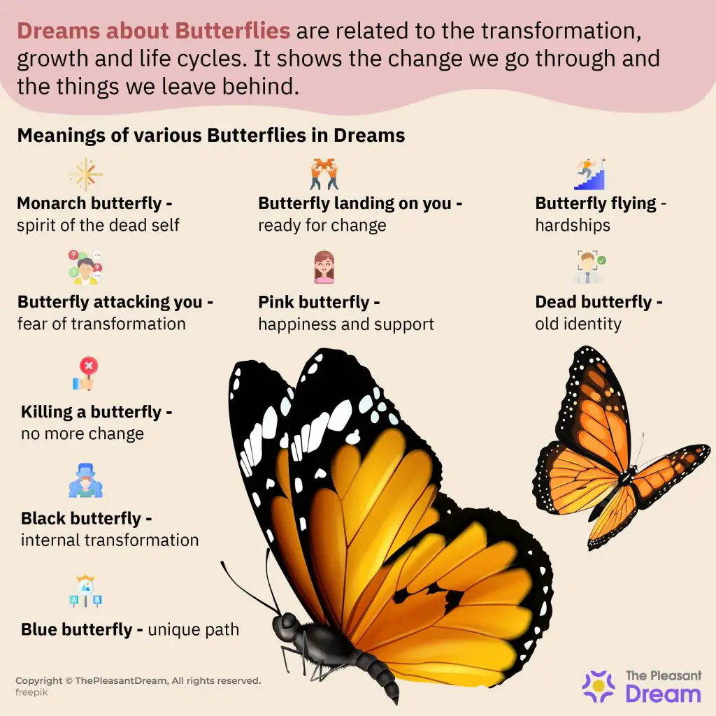 Meaning Of Butterfly Dreams
