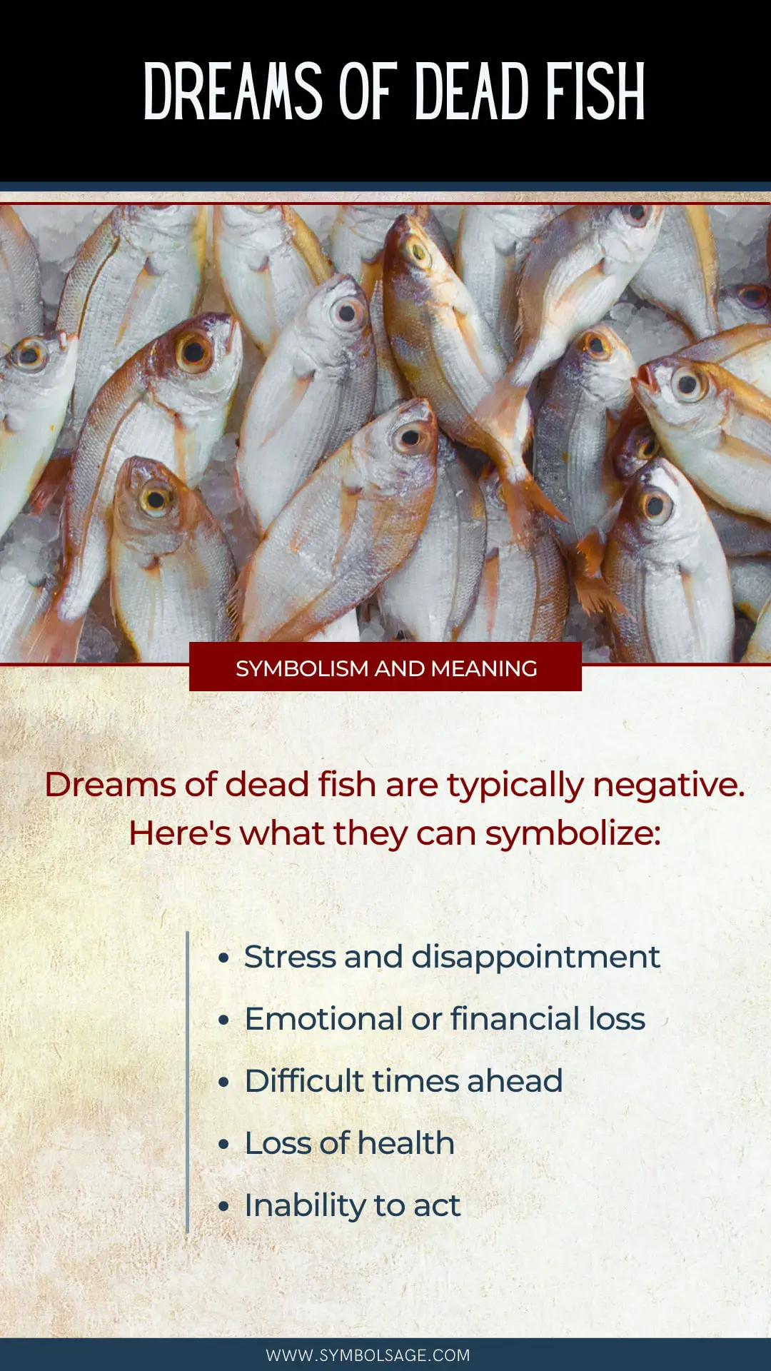 Meaning Of Dreaming Of A Dead Fish